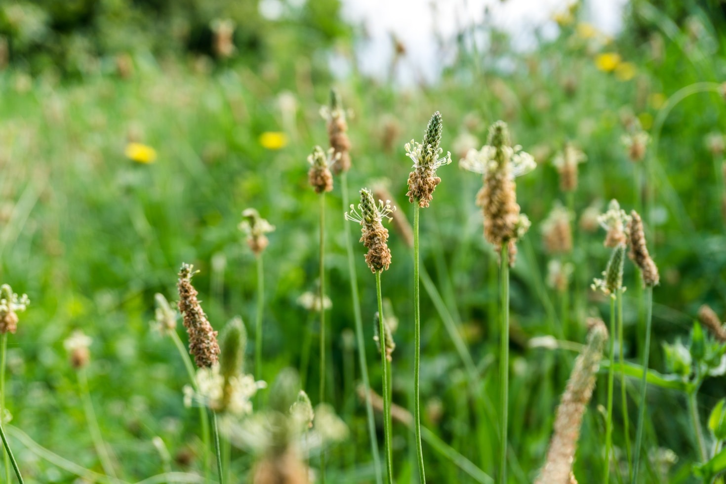 How Herbs and Spices Can Transform Your Health Journey